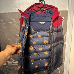 Patagonia Hooded Bivy Down Vest